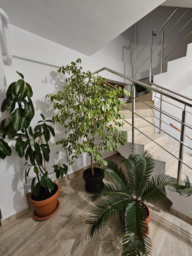 Didi Apartament Craiova Exterior photo